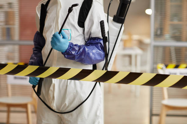 Professional Biohazard technician working in Mountain, WI